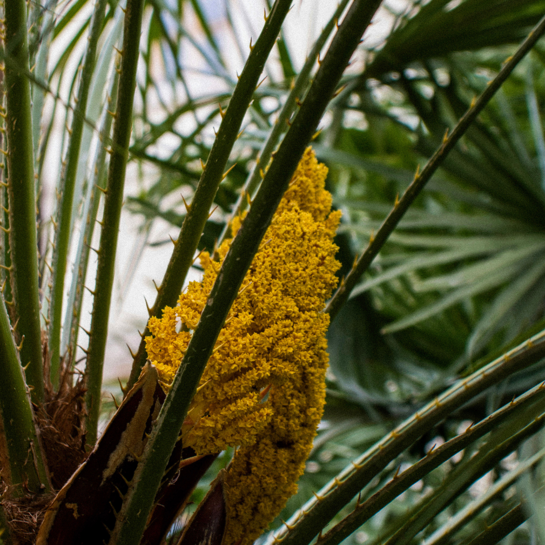 femme qui pratique du yoga près de la mer