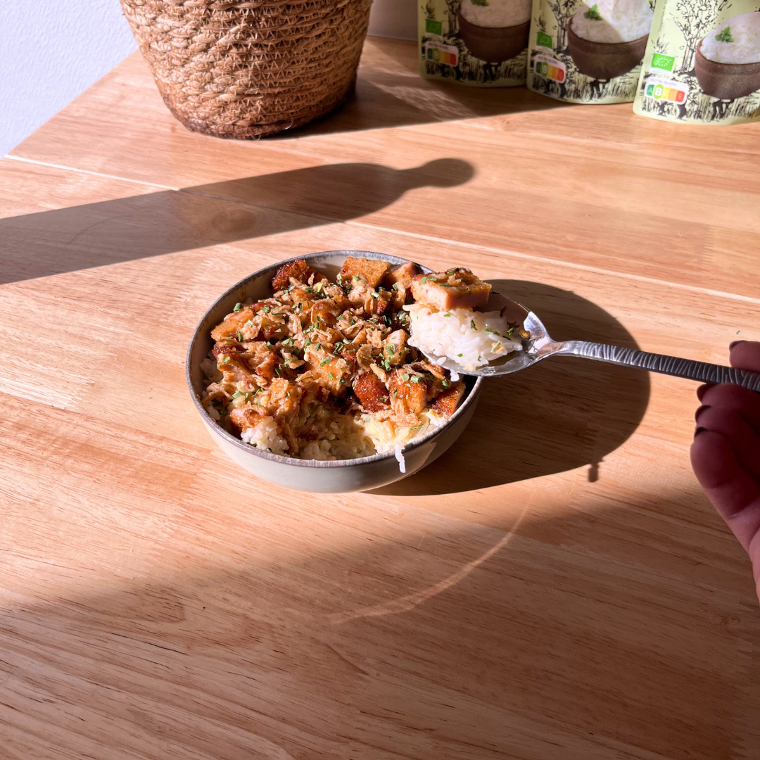 riz paddy dans une main