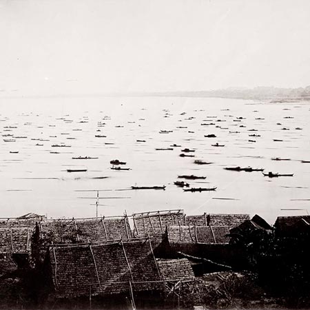 chute de grains de riz sur fond noir