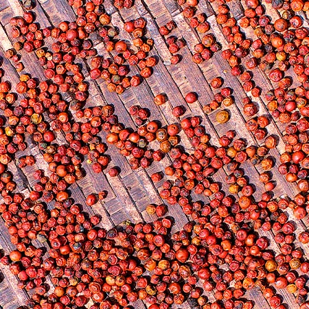 chaîne de montagnes de l'Himalaya sous un couché de soleil