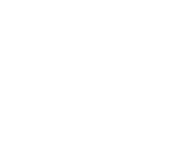 DEILY logo blanc