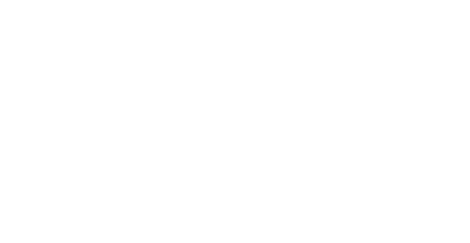 logo DEI blanc