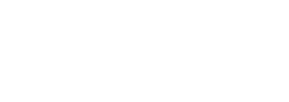 logo TODEI blanc