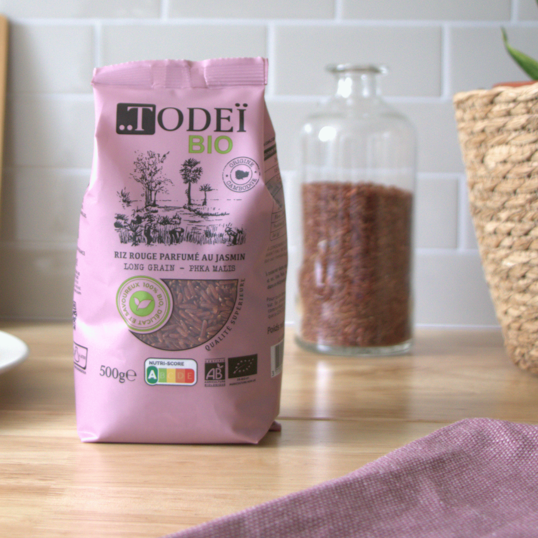 riz paddy dans une main