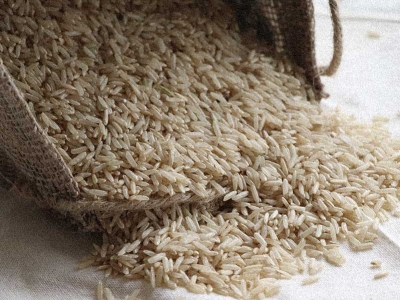 Riz Basmati ou Riz Jasmin : Faire le bon choix