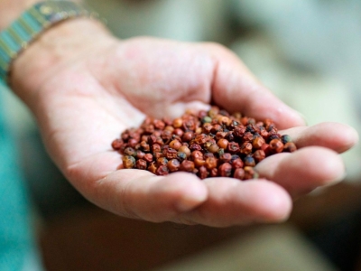 Pourquoi le poivre de Kampot est-il si cher ? Prix & explications